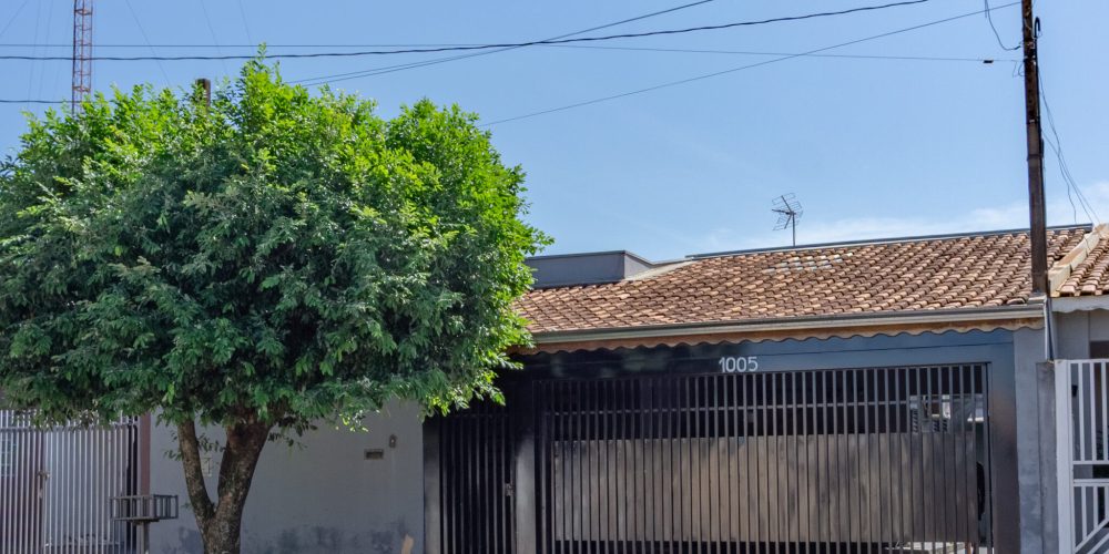 Primavera-1