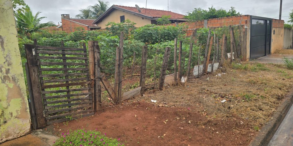 WhatsApp Image 2026-02-11 at 11.39.36 (1)