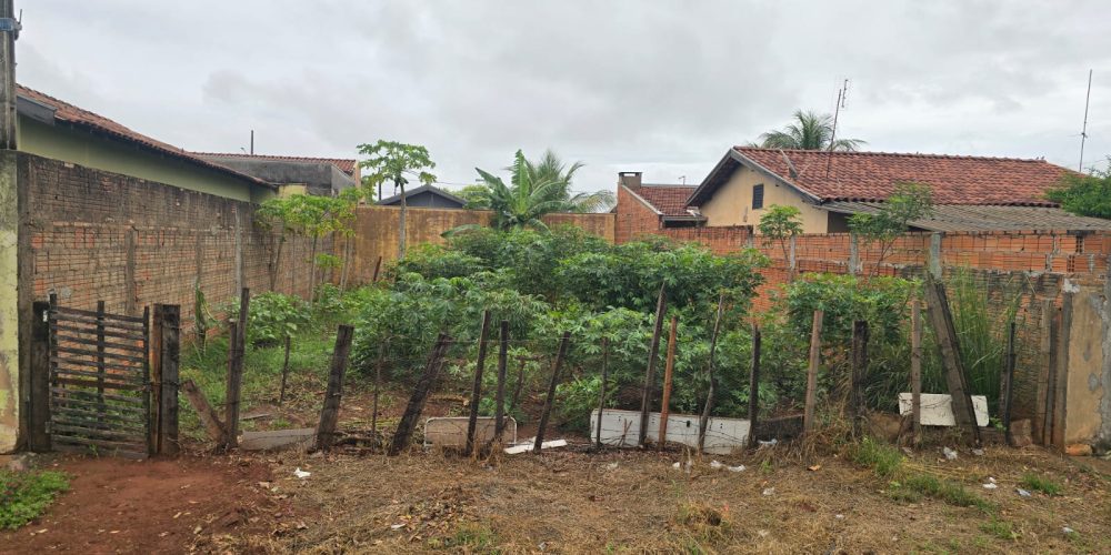 WhatsApp Image 2026-02-11 at 11.39.36