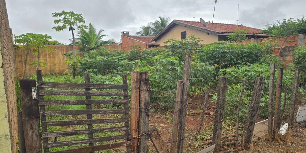 WhatsApp Image 2026-02-11 at 11.39.37