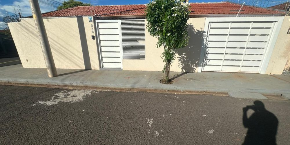 WhatsApp Image 2026-02-12 at 17.14.46