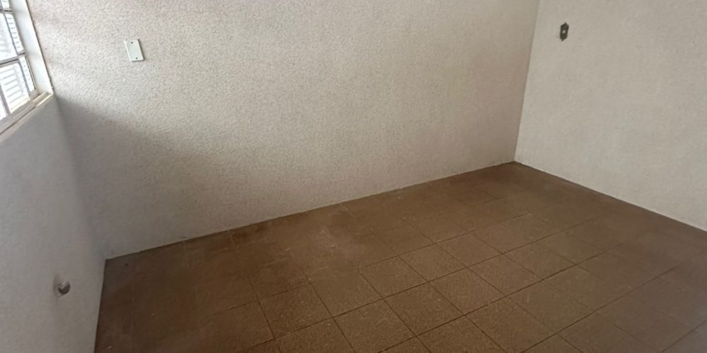 WhatsApp Image 2026-02-12 at 17.14.50 (2)