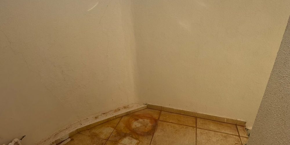 WhatsApp Image 2026-02-12 at 17.14.52