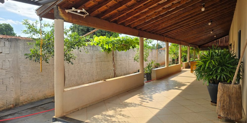 WhatsApp Image 2026-02-19 at 12.06.51