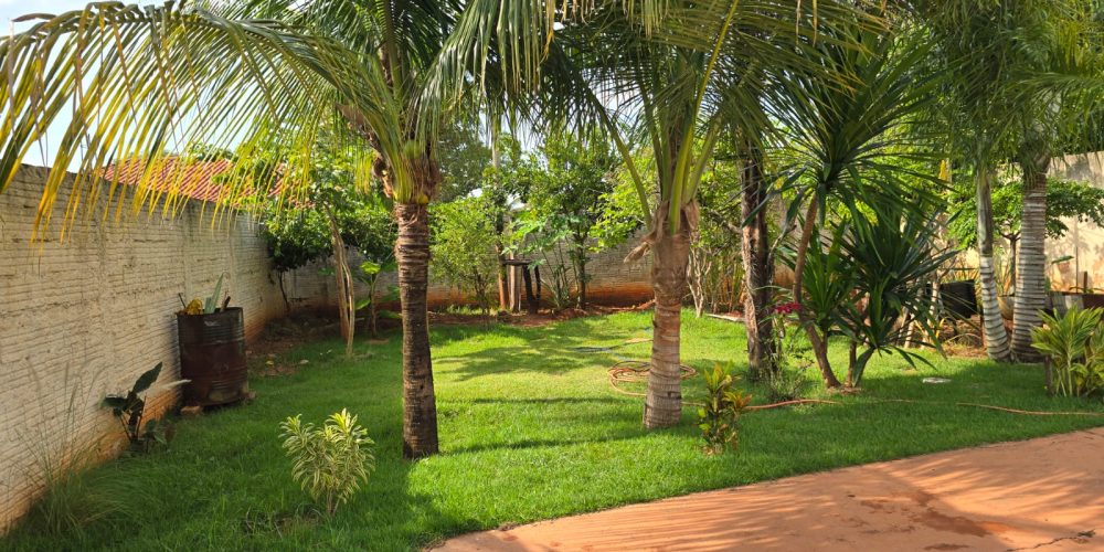 WhatsApp Image 2026-02-19 at 12.06.57 (3)