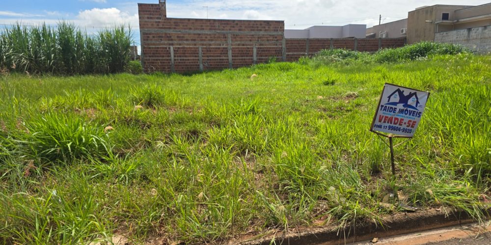 WhatsApp Image 2026-03-18 at 11.39.42 (1)