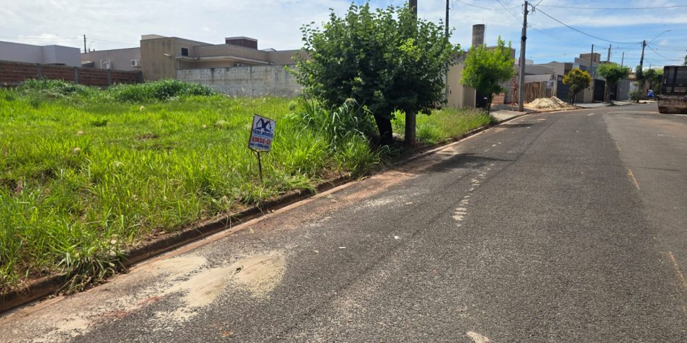 WhatsApp Image 2026-03-18 at 11.39.42