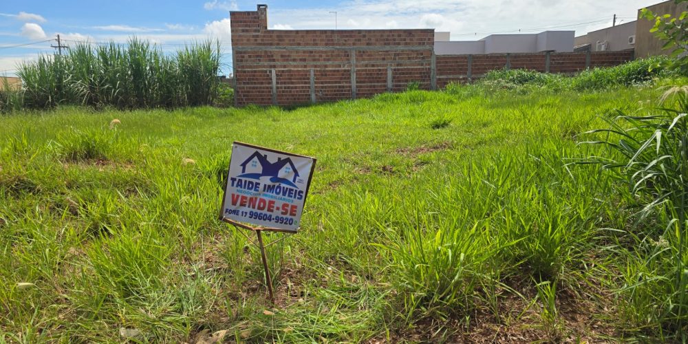 WhatsApp Image 2026-03-18 at 11.39.43